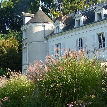 Bed and Breakfast Manoir De La Vigneraie Athée-sur-Cher Zewnętrze zdjęcie