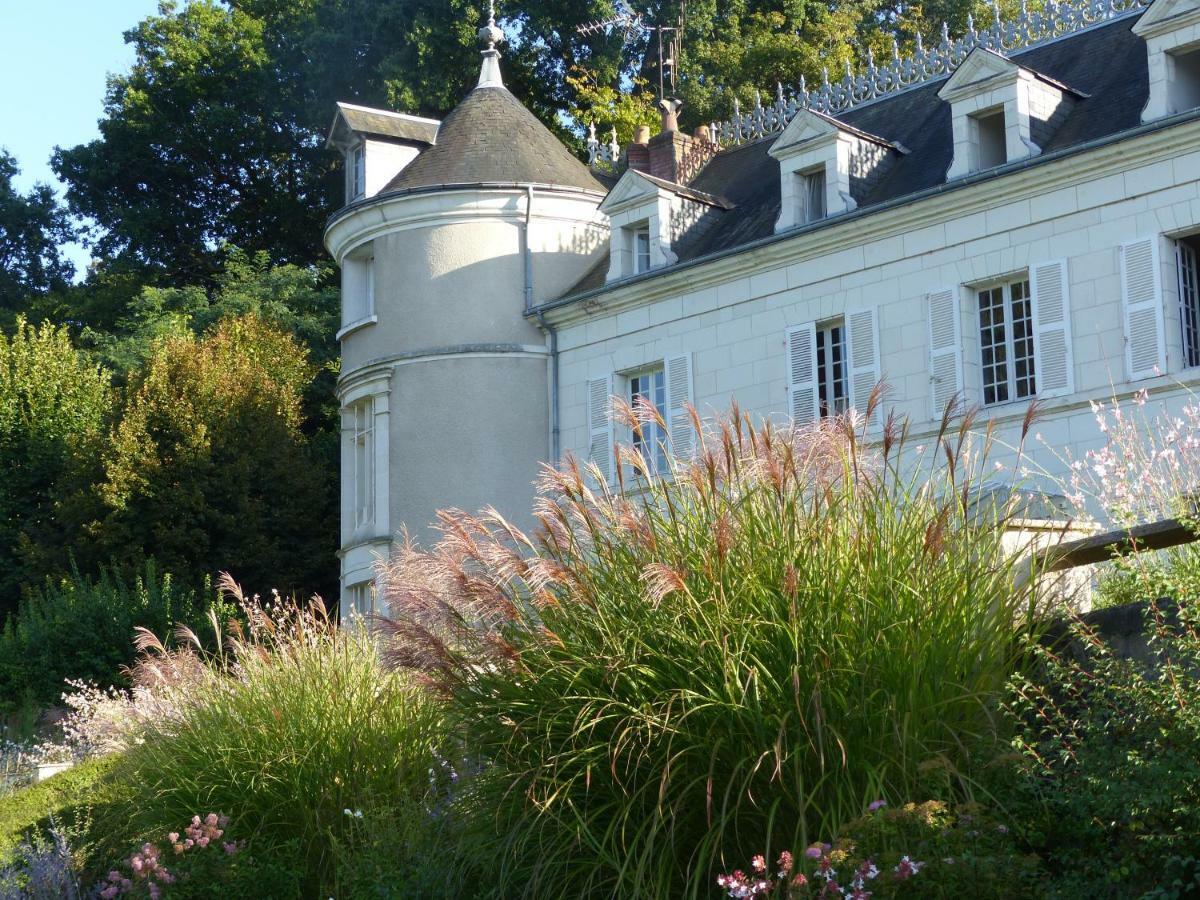 Bed and Breakfast Manoir De La Vigneraie Athée-sur-Cher Zewnętrze zdjęcie