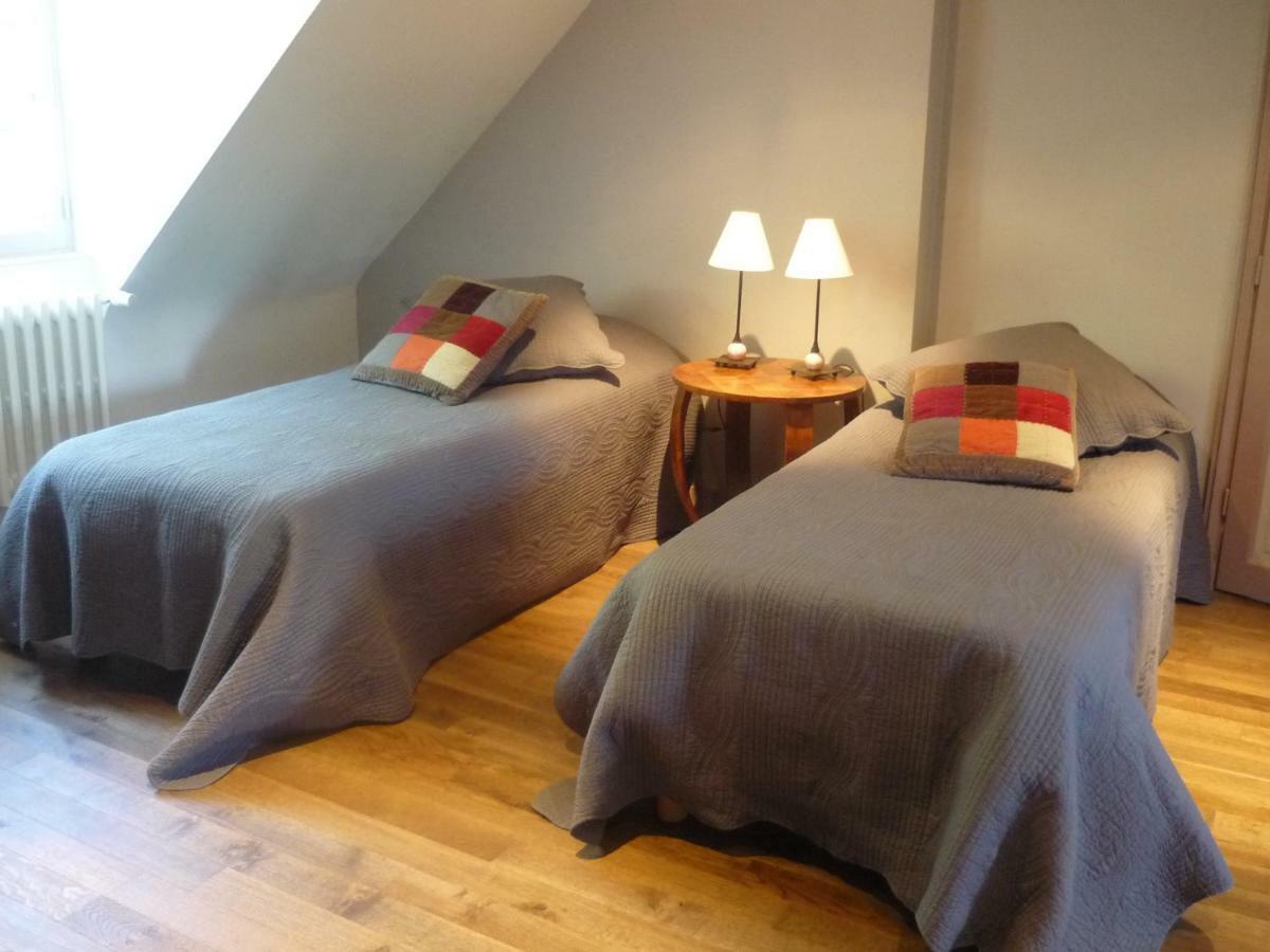Bed and Breakfast Manoir De La Vigneraie Athée-sur-Cher Zewnętrze zdjęcie