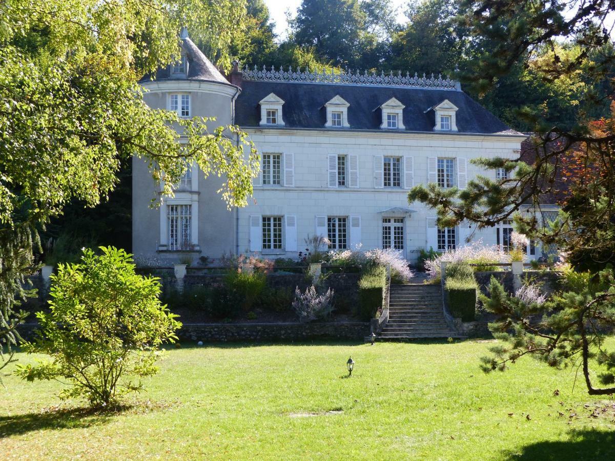 Bed and Breakfast Manoir De La Vigneraie Athée-sur-Cher Zewnętrze zdjęcie